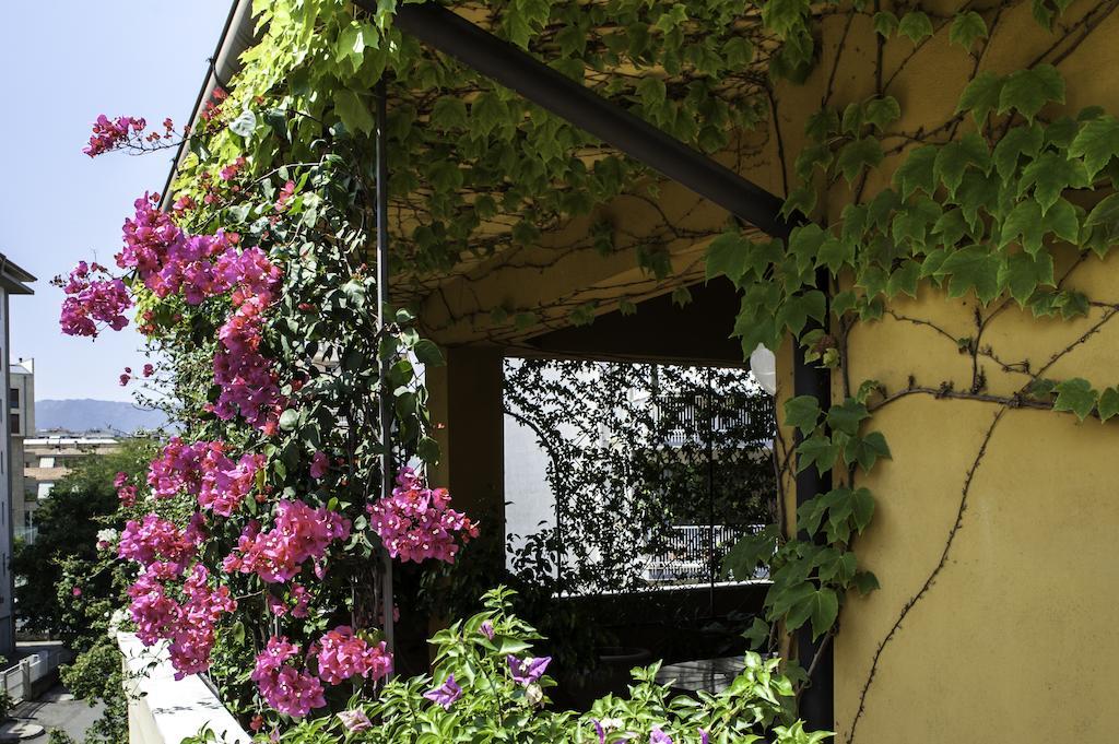 B&B Tribunale コゼンツァ エクステリア 写真